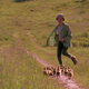 Illustration for article titled Anna Paquin mothers a flock of birds in a gorgeous coming-of-age drama